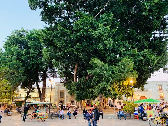 Zocalo